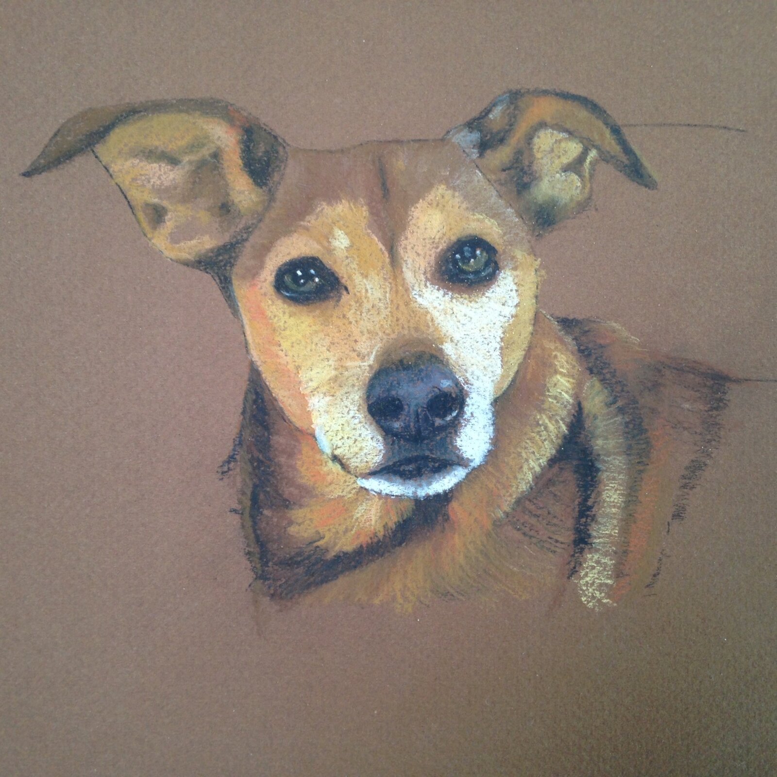 Pastelportret van een huisdier
