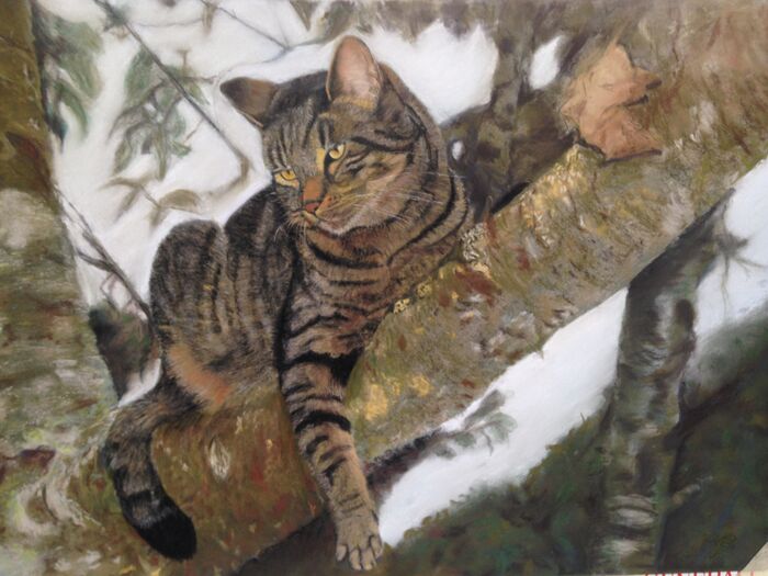 Pastelportret, droog pastel op pastelkarton