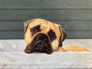 Pastelportret